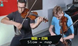 光遇最新小提琴爆料